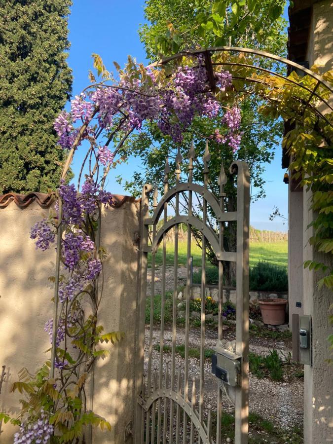 Monte Maino Bed & Breakfast Ντεζεντσάνο ντελ Γκάρντα Εξωτερικό φωτογραφία