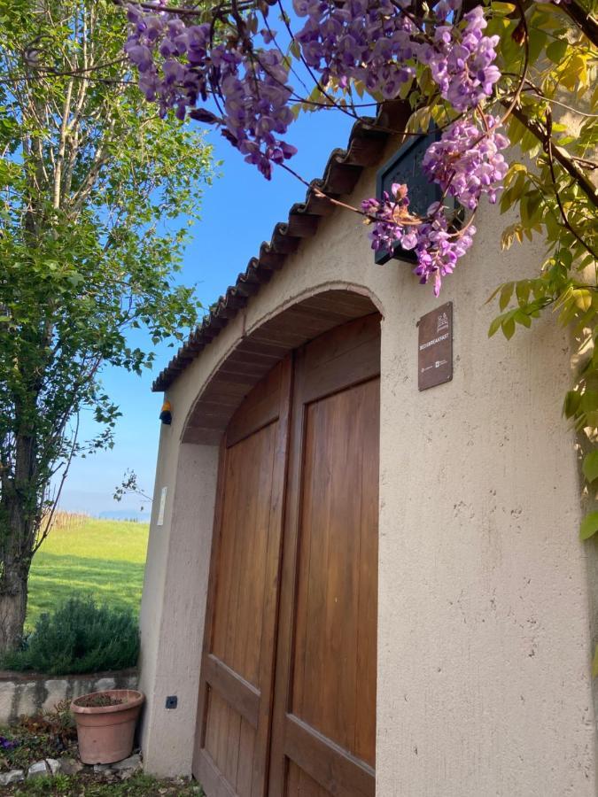 Monte Maino Bed & Breakfast Ντεζεντσάνο ντελ Γκάρντα Εξωτερικό φωτογραφία