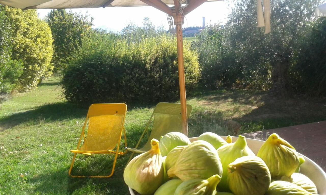 Monte Maino Bed & Breakfast Ντεζεντσάνο ντελ Γκάρντα Εξωτερικό φωτογραφία